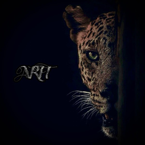 91㊙️片黄在线观看AI明星
